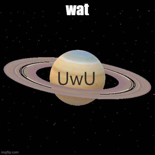 wat | made w/ Imgflip meme maker