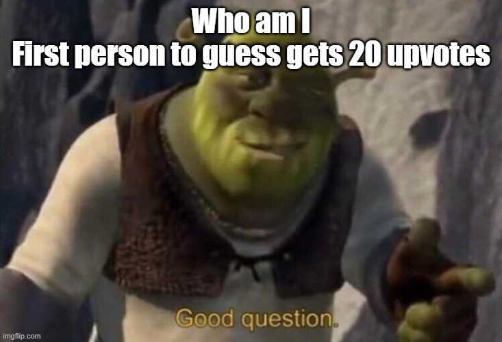 Shrek good question | Who am I
First person to guess gets 20 upvotes | image tagged in shrek good question | made w/ Imgflip meme maker
