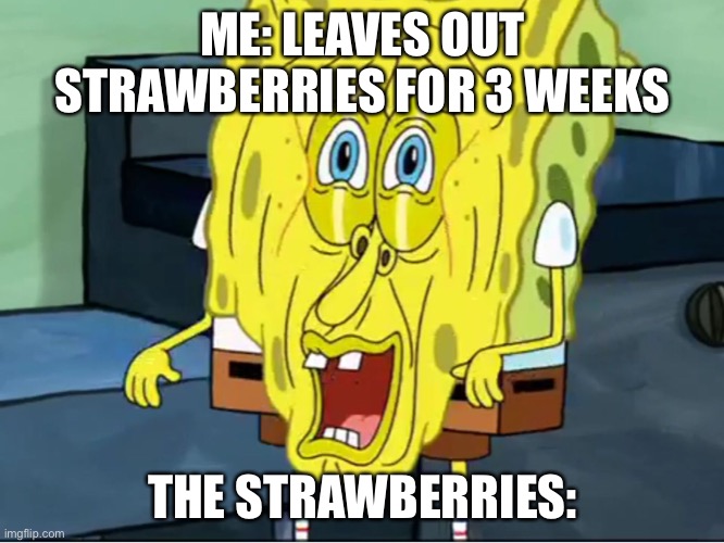 Melting sponge bob | ME: LEAVES OUT STRAWBERRIES FOR 3 WEEKS; THE STRAWBERRIES: | image tagged in melting sponge bob | made w/ Imgflip meme maker