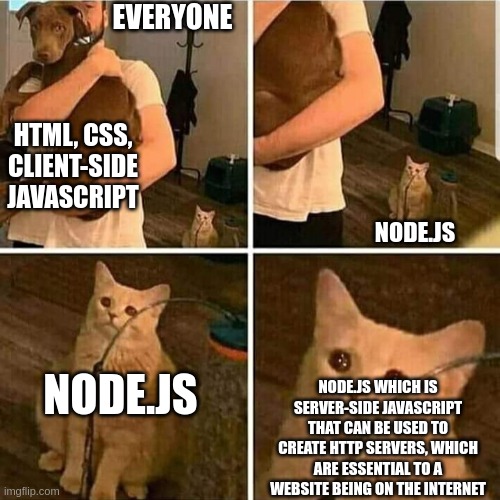 web development |  EVERYONE; HTML, CSS, CLIENT-SIDE JAVASCRIPT; NODE.JS; NODE.JS; NODE.JS WHICH IS SERVER-SIDE JAVASCRIPT THAT CAN BE USED TO CREATE HTTP SERVERS, WHICH ARE ESSENTIAL TO A WEBSITE BEING ON THE INTERNET | image tagged in sad cat holding dog,website,programming | made w/ Imgflip meme maker