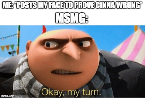 Okay my turn | ME: *POSTS MY FACE TO PROVE CINNA WRONG*; MSMG: | image tagged in okay my turn | made w/ Imgflip meme maker