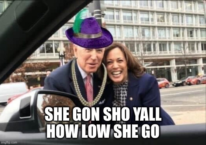 Biden Harris | SHE GON SHO YALL
HOW LOW SHE GO | image tagged in biden harris | made w/ Imgflip meme maker