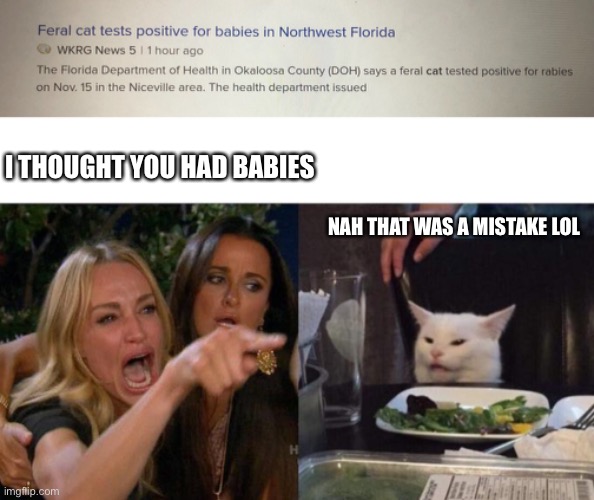 Honestly I would probably do this too | I THOUGHT YOU HAD BABIES; NAH THAT WAS A MISTAKE LOL | image tagged in memes,woman yelling at cat,funny,funny memes,cat,spelling error | made w/ Imgflip meme maker