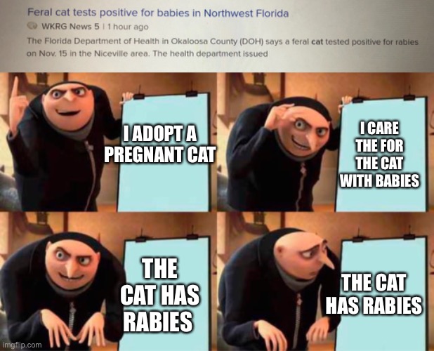 Bruh moment | I CARE THE FOR THE CAT WITH BABIES; I ADOPT A PREGNANT CAT; THE CAT HAS RABIES; THE CAT HAS RABIES | image tagged in memes,gru's plan,cat,babies,funny memes,funny | made w/ Imgflip meme maker