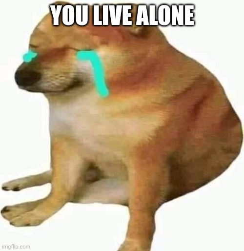 cheems crying | YOU LIVE ALONE | image tagged in cheems crying | made w/ Imgflip meme maker