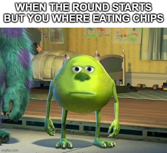 Mike Wazowski Bruh | WHEN THE ROUND STARTS BUT YOU WHERE EATING CHIPS | image tagged in mike wazowski bruh | made w/ Imgflip meme maker