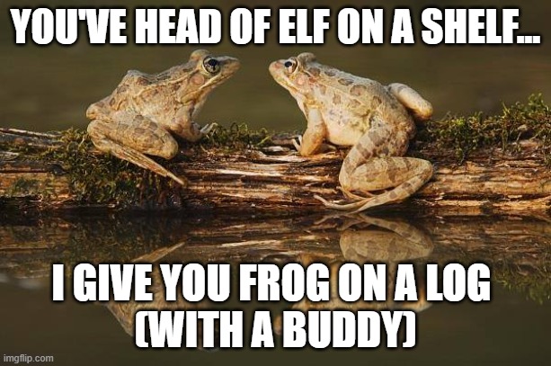 Frogs on a log | YOU'VE HEAD OF ELF ON A SHELF... I GIVE YOU FROG ON A LOG 
(WITH A BUDDY) | image tagged in frog | made w/ Imgflip meme maker