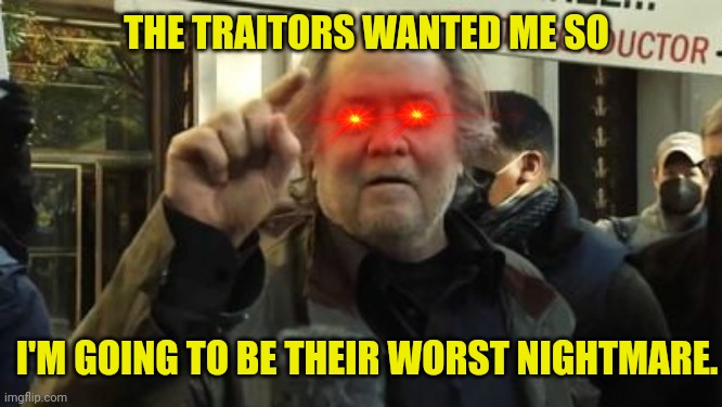 They asked for it. | THE TRAITORS WANTED ME SO; I'M GOING TO BE THEIR WORST NIGHTMARE. | image tagged in democrats,rino,steve bannon,donald trump | made w/ Imgflip meme maker