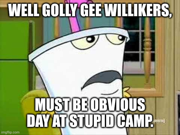 master shake | WELL GOLLY GEE WILLIKERS, MUST BE OBVIOUS DAY AT STUPID CAMP. | image tagged in master shake | made w/ Imgflip meme maker
