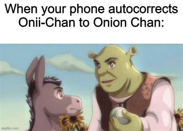 Not really disappointed though | When your phone autocorrects Onii-Chan to Onion Chan: | made w/ Imgflip meme maker