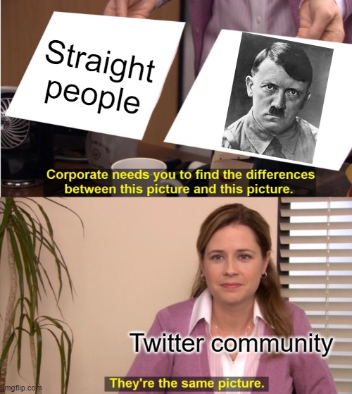 There is a similarity | Straight people; Twitter community | image tagged in memes,they're the same picture | made w/ Imgflip meme maker
