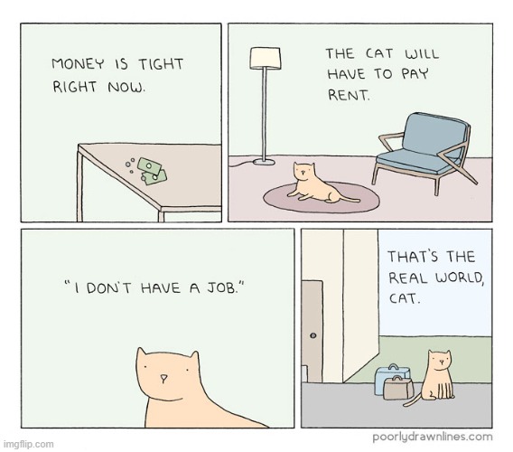 Well, that's the real world | image tagged in comics/cartoons,cat,real world,rent | made w/ Imgflip meme maker