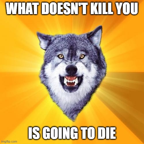 Courage Wolf | WHAT DOESN'T KILL YOU; IS GOING TO DIE | image tagged in memes,courage wolf | made w/ Imgflip meme maker