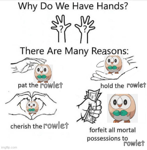 rowlet best starter | rowlet; rowlet; rowlet; rowlet | image tagged in why do we have hands | made w/ Imgflip meme maker