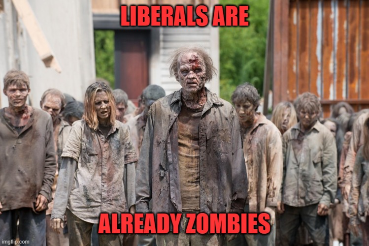 zombies | LIBERALS ARE ALREADY ZOMBIES | image tagged in zombies | made w/ Imgflip meme maker