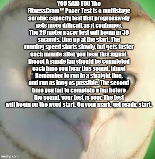 you said you The FitnessGram™ Pacer Test is a multistage aerobic capacity test that progressively gets more difficult as it | YOU SAID YOU The FitnessGram™ Pacer Test is a multistage aerobic capacity test that progressively gets more difficult as it continues. The 20 meter pacer test will begin in 30 seconds. Line up at the start. The running speed starts slowly, but gets faster each minute after you hear this signal. [beep] A single lap should be completed each time you hear this sound. [ding] Remember to run in a straight line, and run as long as possible. The second time you fail to complete a lap before the sound, your test is over. The test will begin on the word start. On your mark, get ready, start. | image tagged in you said,fitness | made w/ Imgflip meme maker