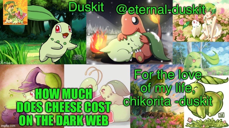Philosophical question | HOW MUCH DOES CHEESE COST ON THE DARK WEB | image tagged in duskit s chikorita honor temp | made w/ Imgflip meme maker