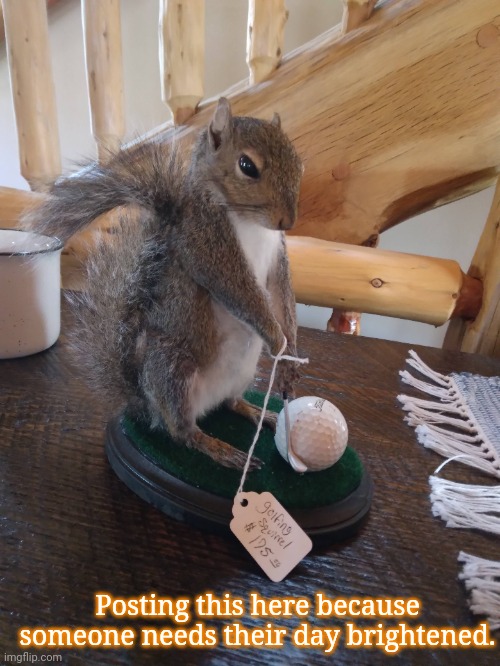 that's a lot of skipped meals for a golfing squirrel... | Posting this here because someone needs their day brightened. | image tagged in squirrel | made w/ Imgflip meme maker