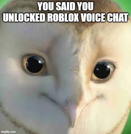 you said you :robloxsymbol: | YOU SAID YOU UNLOCKED ROBLOX VOICE CHAT | image tagged in you said,roblox | made w/ Imgflip meme maker