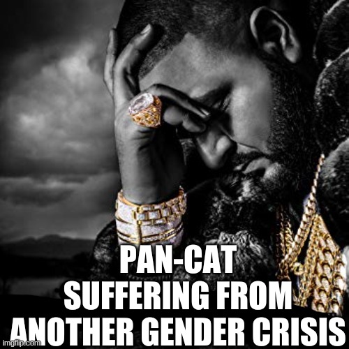 hb4gyttrghjgtyc WHY | PAN-CAT
SUFFERING FROM ANOTHER GENDER CRISIS | made w/ Imgflip meme maker