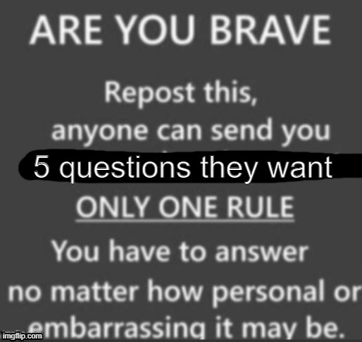 5 questions they want | made w/ Imgflip meme maker