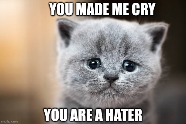 your a hater | YOU MADE ME CRY; YOU ARE A HATER | image tagged in i'm sad | made w/ Imgflip meme maker