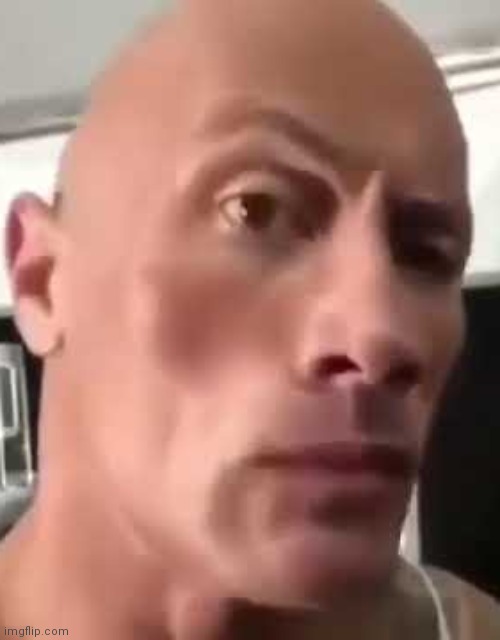 Rock Eyebrow | image tagged in rock eyebrow | made w/ Imgflip meme maker