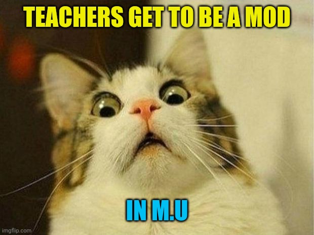 Scared Cat Meme | TEACHERS GET TO BE A MOD; IN M.U | image tagged in memes,scared cat | made w/ Imgflip meme maker