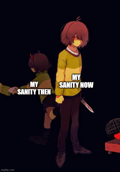 Some people can relate | MY SANITY NOW; MY SANITY THEN | image tagged in kris | made w/ Imgflip meme maker