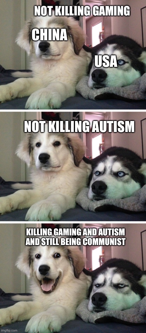 Bad pun dogs | NOT KILLING GAMING; CHINA; USA; NOT KILLING AUTISM; KILLING GAMING AND AUTISM AND STILL BEING COMMUNIST | image tagged in bad pun dogs | made w/ Imgflip meme maker