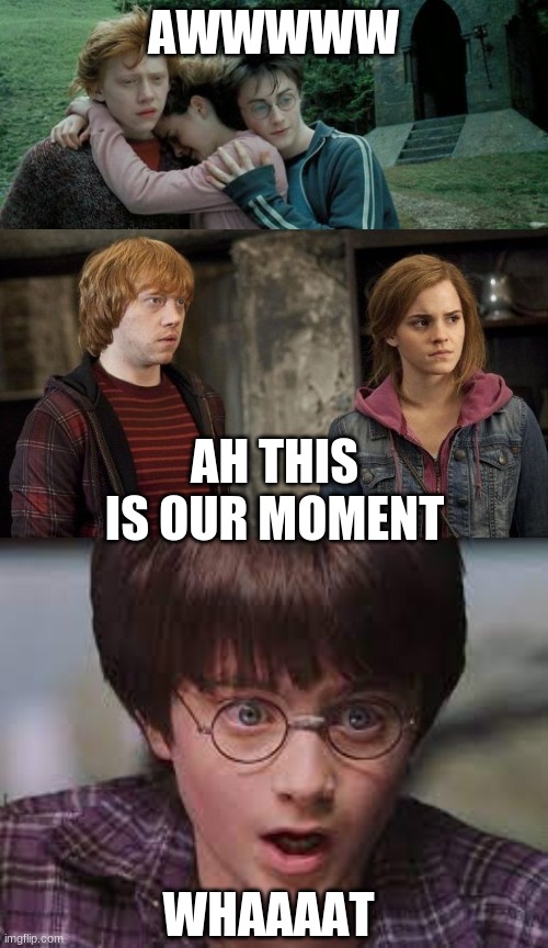 THEIR MOMENT | AWWWWW; AH THIS IS OUR MOMENT; WHAAAAT | image tagged in harry potter | made w/ Imgflip meme maker