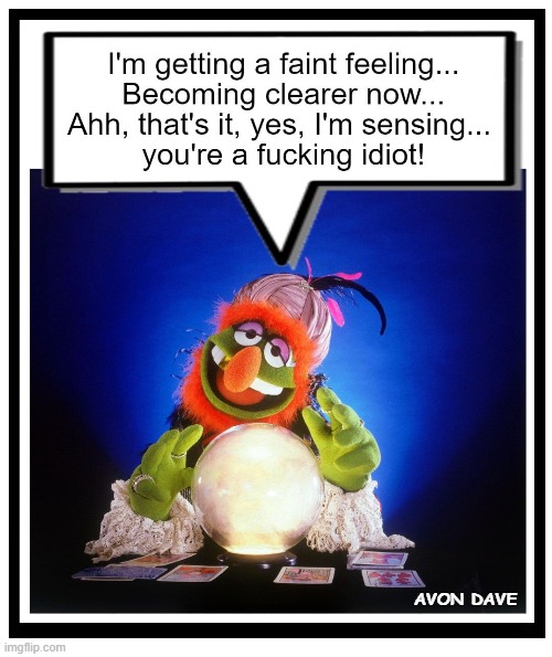 MUPPET CLAIROVOYANT | AVON DAVE | image tagged in muppets,clairovoyant,kermit,idiot,truth,fortune teller | made w/ Imgflip meme maker