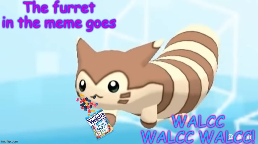 The furret in the meme goes WALCC WALCC WALCC! | image tagged in the furret in the meme goes walcc walcc walcc | made w/ Imgflip meme maker