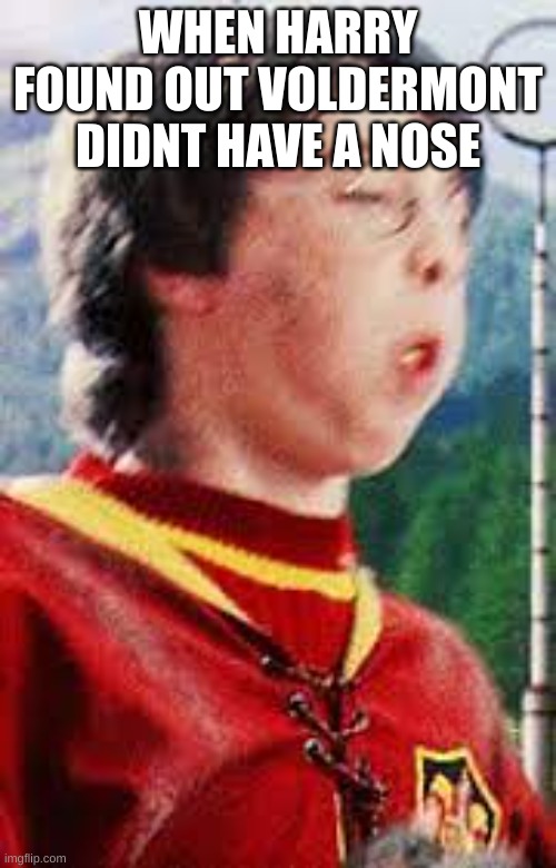 harry potter meme so funny | WHEN HARRY FOUND OUT VOLDERMONT DIDNT HAVE A NOSE | image tagged in funny memes | made w/ Imgflip meme maker