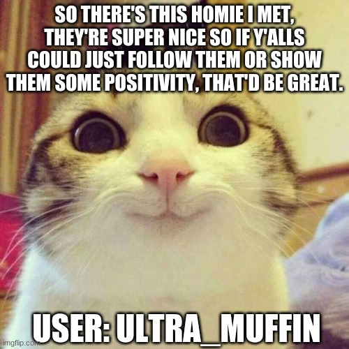 Please do it, and let's start something, if there's a nice person you find, give them a shoutout! | SO THERE'S THIS HOMIE I MET, THEY'RE SUPER NICE SO IF Y'ALLS COULD JUST FOLLOW THEM OR SHOW THEM SOME POSITIVITY, THAT'D BE GREAT. USER: ULTRA_MUFFIN | image tagged in memes,smiling cat,please,nice,sweet,person | made w/ Imgflip meme maker