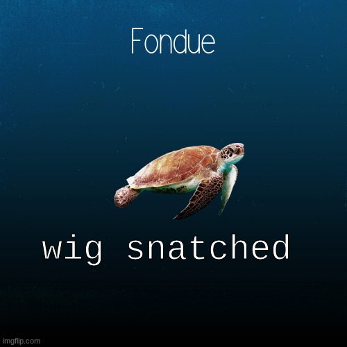 turtle template-Fondue | wig snatched | image tagged in turtle template-fondue | made w/ Imgflip meme maker