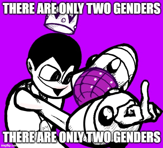 someone post this to the lgbtq stream (im banned from it) | THERE ARE ONLY TWO GENDERS; THERE ARE ONLY TWO GENDERS | made w/ Imgflip meme maker