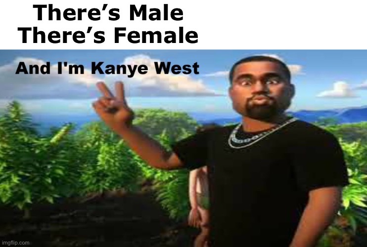 and im kanye west | There’s Male
There’s Female | image tagged in and im kanye west | made w/ Imgflip meme maker