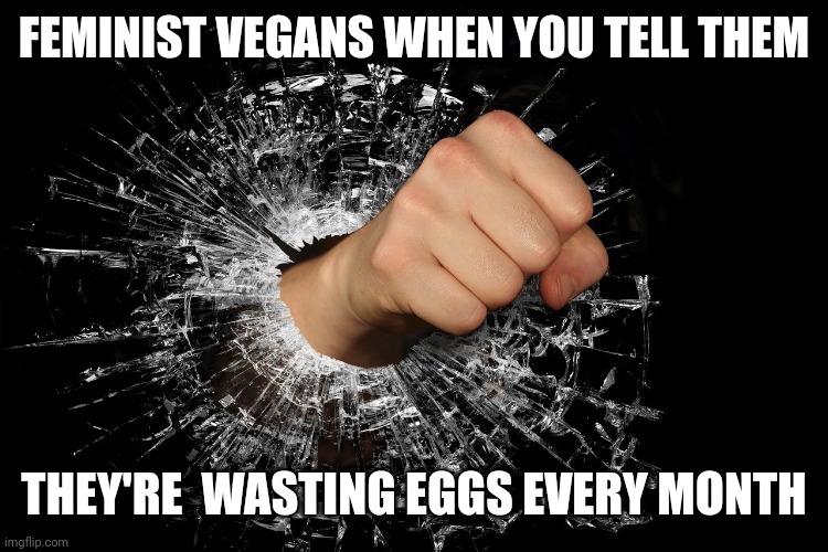 FEMINIST VEGANS WHEN YOU TELL THEM; THEY'RE  WASTING EGGS EVERY MONTH | image tagged in funny memes | made w/ Imgflip meme maker