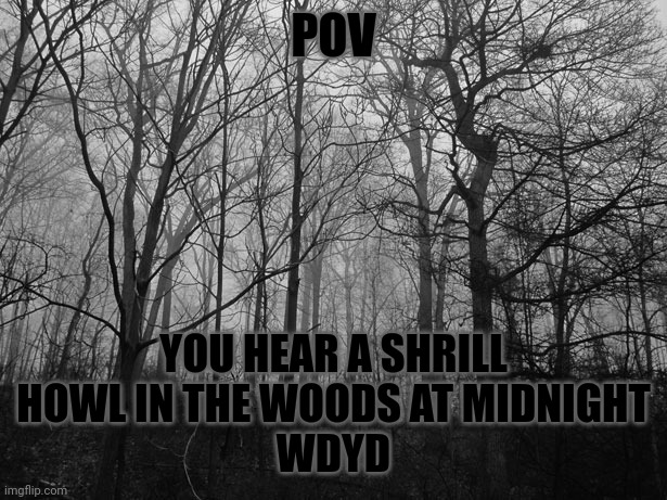 POV; YOU HEAR A SHRILL HOWL IN THE WOODS AT MIDNIGHT
WDYD | made w/ Imgflip meme maker