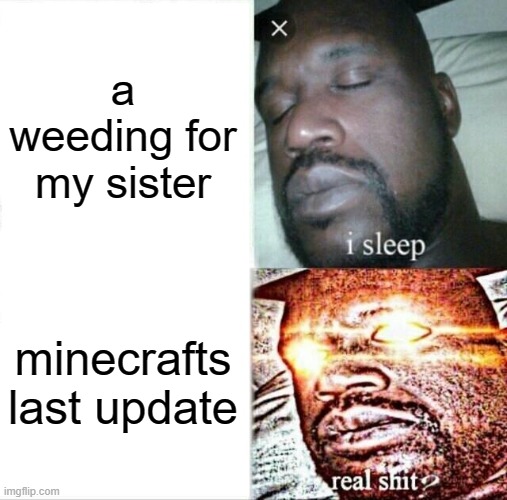 minecraft | a weeding for my sister; minecrafts last update | image tagged in memes,sleeping shaq | made w/ Imgflip meme maker