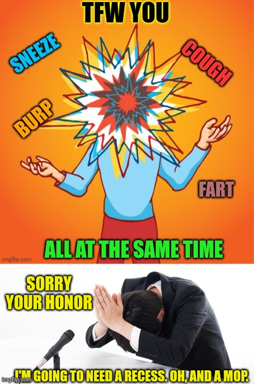 SORRY YOUR HONOR; I'M GOING TO NEED A RECESS. OH, AND A MOP. | image tagged in burp,fart,sneeze,hiccup,embarrassing | made w/ Imgflip meme maker