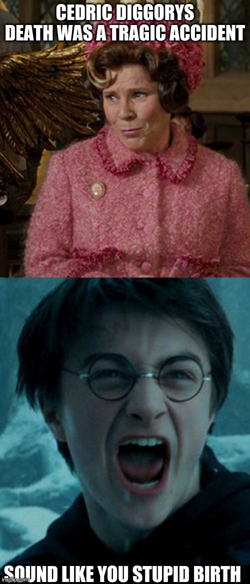 HARRY, HARRY, HARRY | CEDRIC DIGGORYS DEATH WAS A TRAGIC ACCIDENT; SOUND LIKE YOU STUPID BIRTH | image tagged in dolores umbridge | made w/ Imgflip meme maker