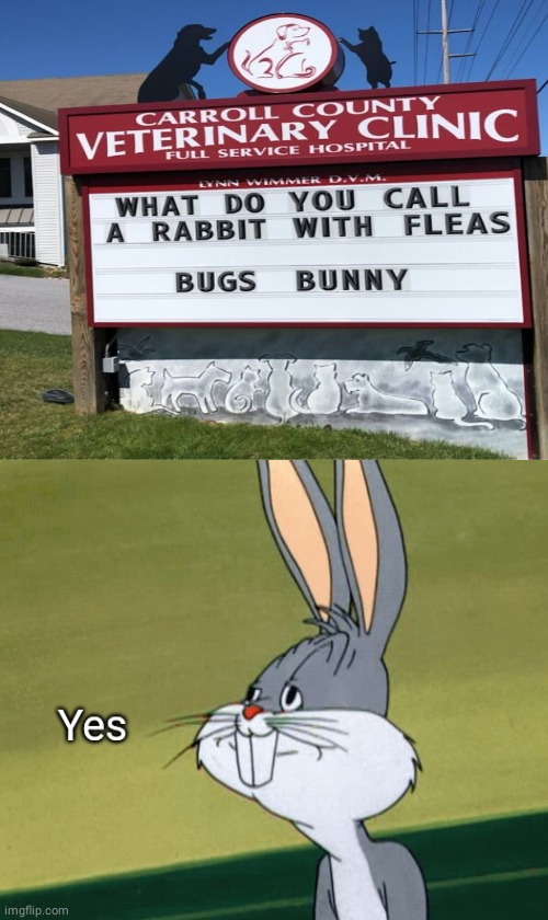 Bugs Bunny | image tagged in bugs bunny yes,bugs bunny,memes,meme,puns,pun | made w/ Imgflip meme maker