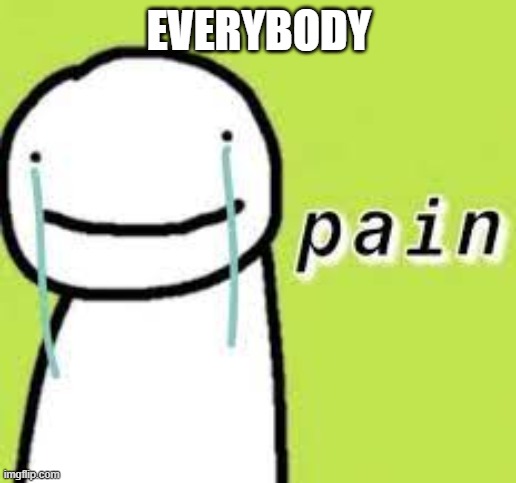 Pain (after i lose speedrunner vs 4 hunters finale rematch) | EVERYBODY | image tagged in pain after i lose speedrunner vs 4 hunters finale rematch | made w/ Imgflip meme maker