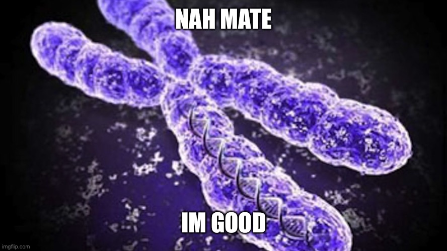 Chromosome | NAH MATE IM GOOD | image tagged in chromosome | made w/ Imgflip meme maker