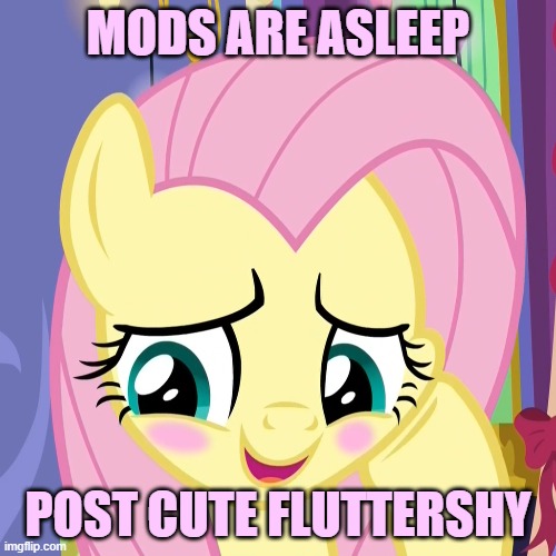 Cute Fluttershy | MODS ARE ASLEEP; POST CUTE FLUTTERSHY | image tagged in memes | made w/ Imgflip meme maker