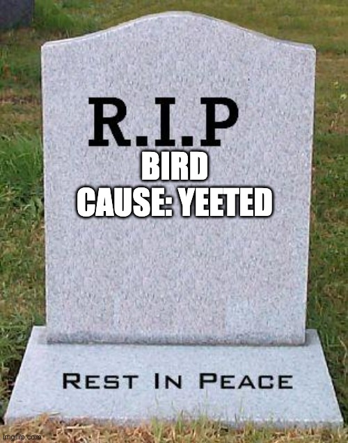 RIP headstone | BIRD
CAUSE: YEETED | image tagged in rip headstone | made w/ Imgflip meme maker