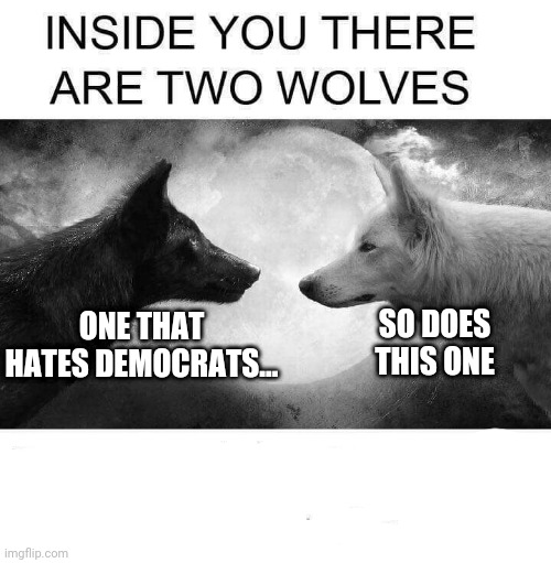 Hate democrats | ONE THAT HATES DEMOCRATS... SO DOES THIS ONE | image tagged in inside you there are two wolves | made w/ Imgflip meme maker