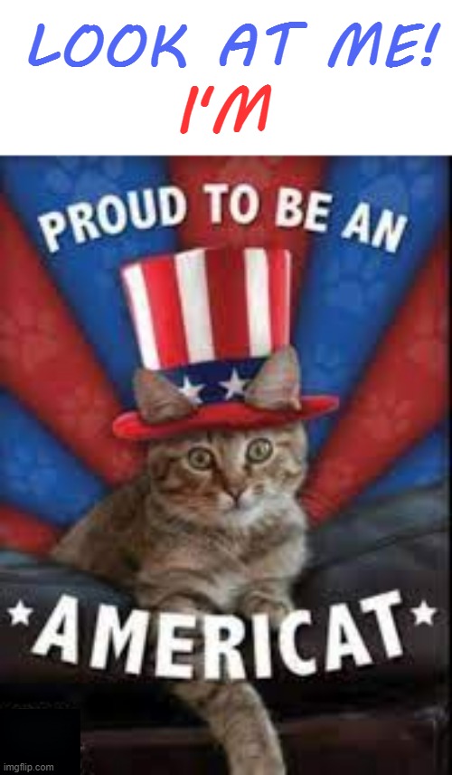 Hey Look... | LOOK AT ME! I'M | image tagged in memes,cats,i want to believe,proud,american,patriot | made w/ Imgflip meme maker